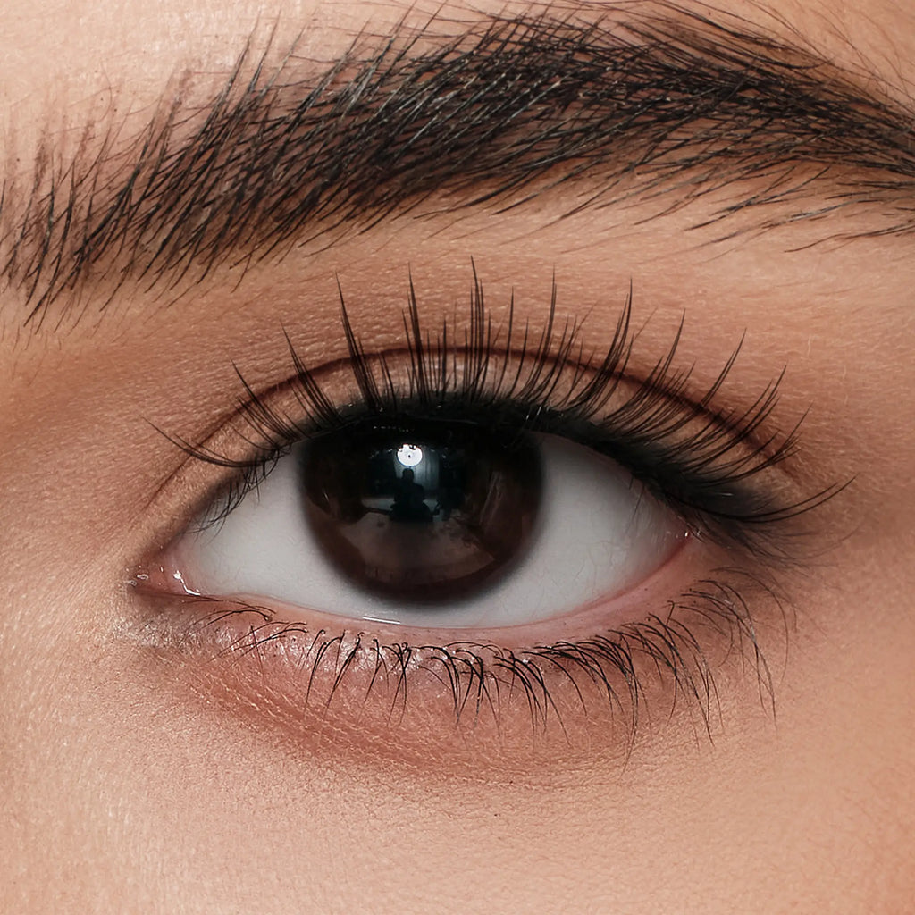 Glossy Black – Wispy Beach Lashes