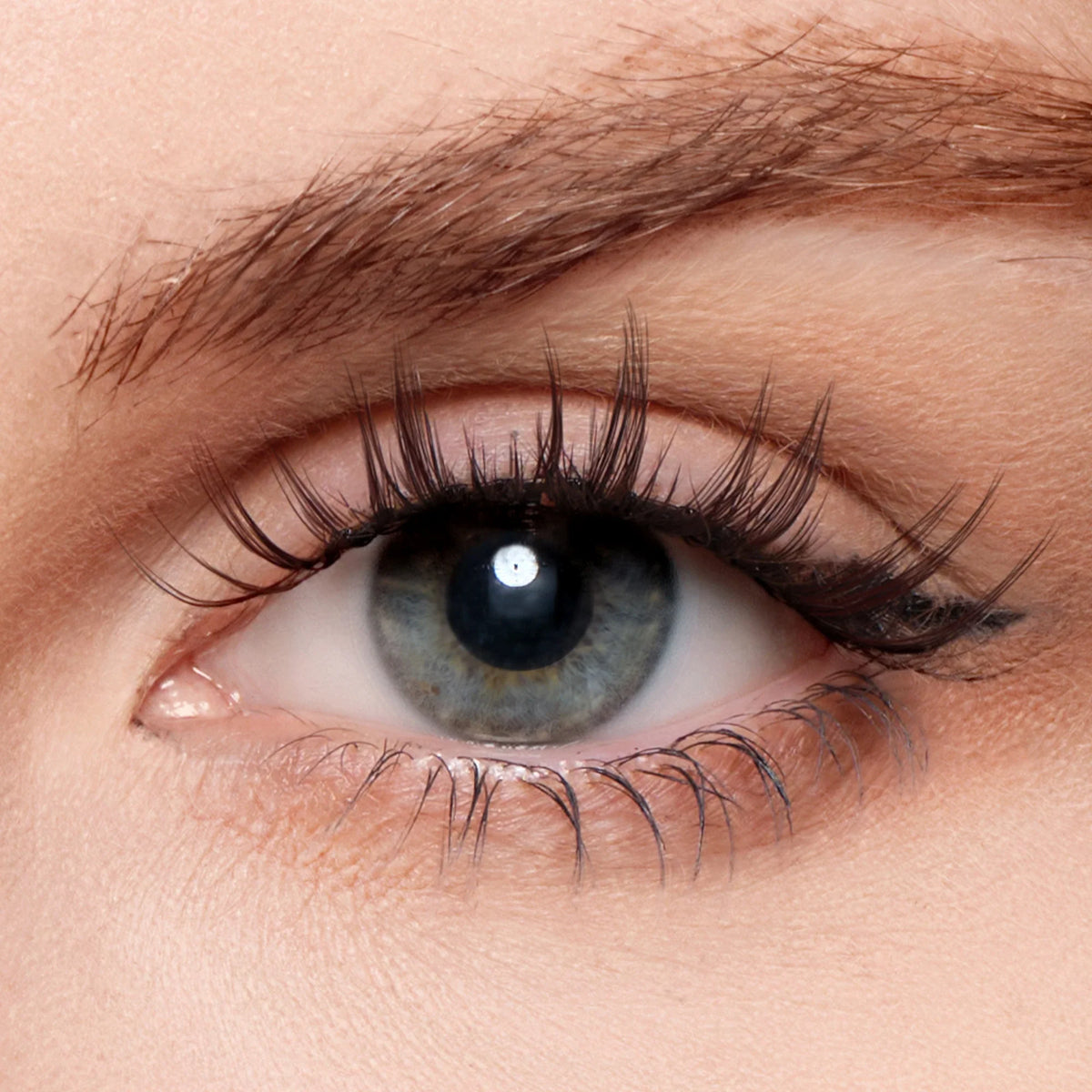 Cuddly Bunny – Gentle Beauty Lashes