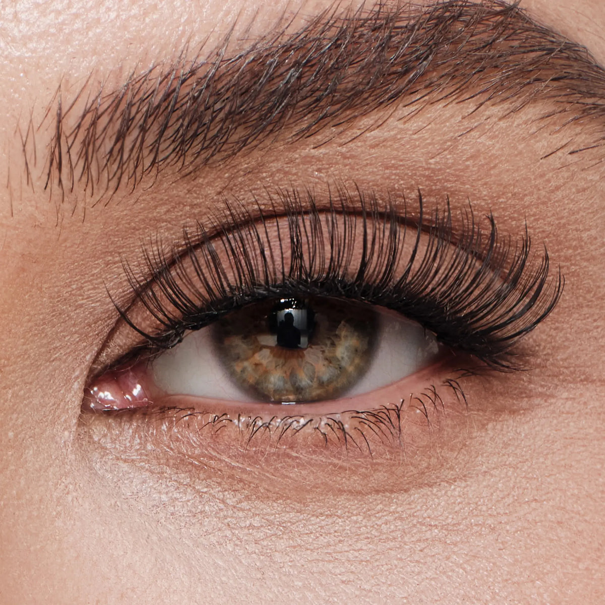 Dandelion – Daily Glow Lashes
